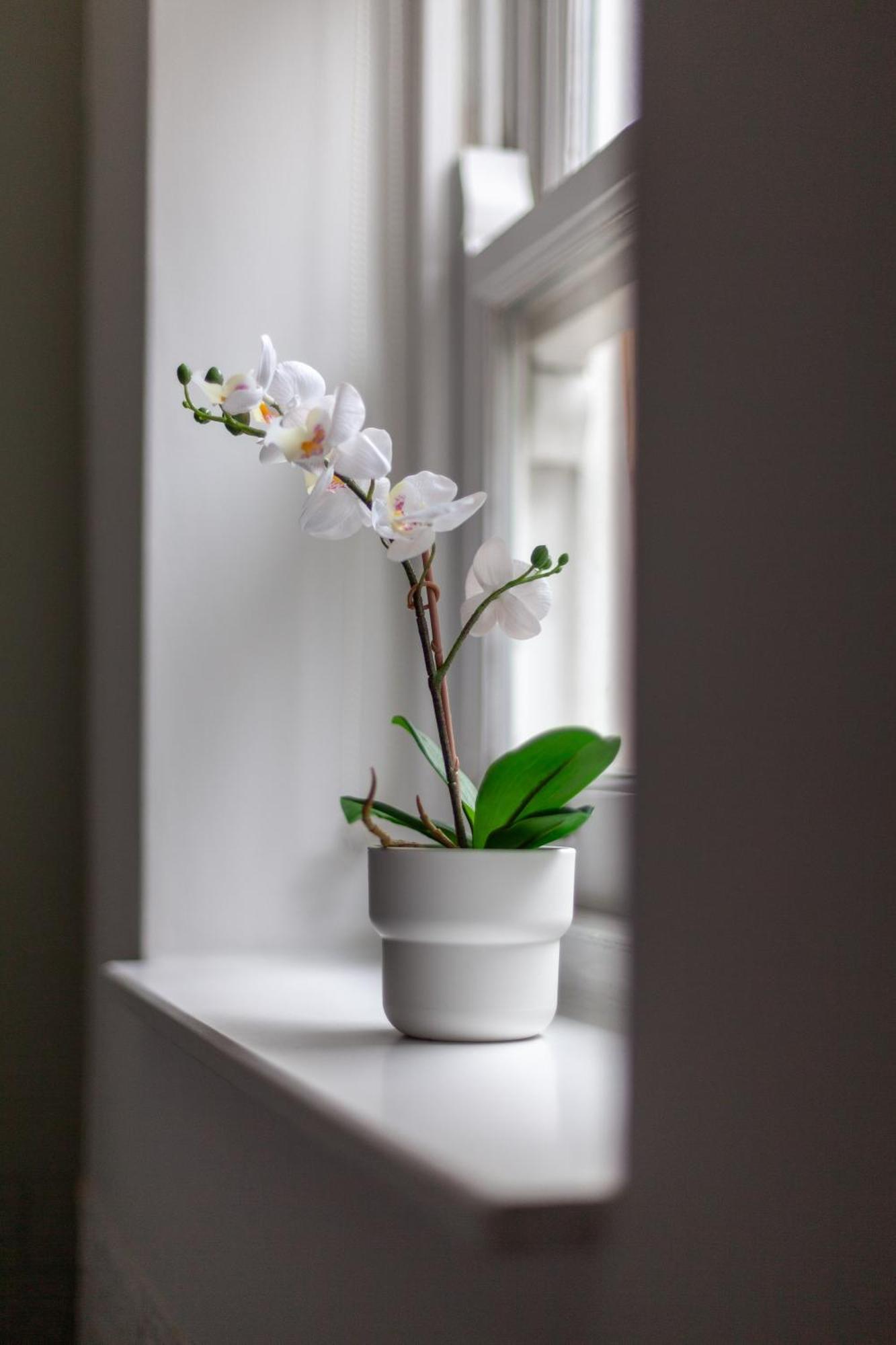 런던 The Hackney Luxury Flat 아파트 외부 사진